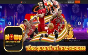 Tổng quan về casino Nohu666