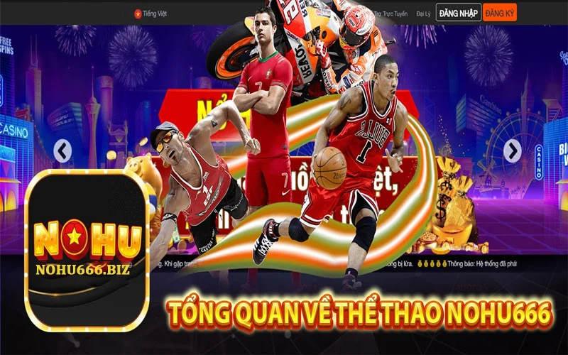 Tổng quan về casino Nohu666