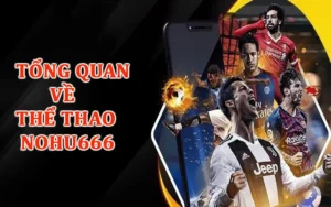 Tổng quan về thể thao Nohu666